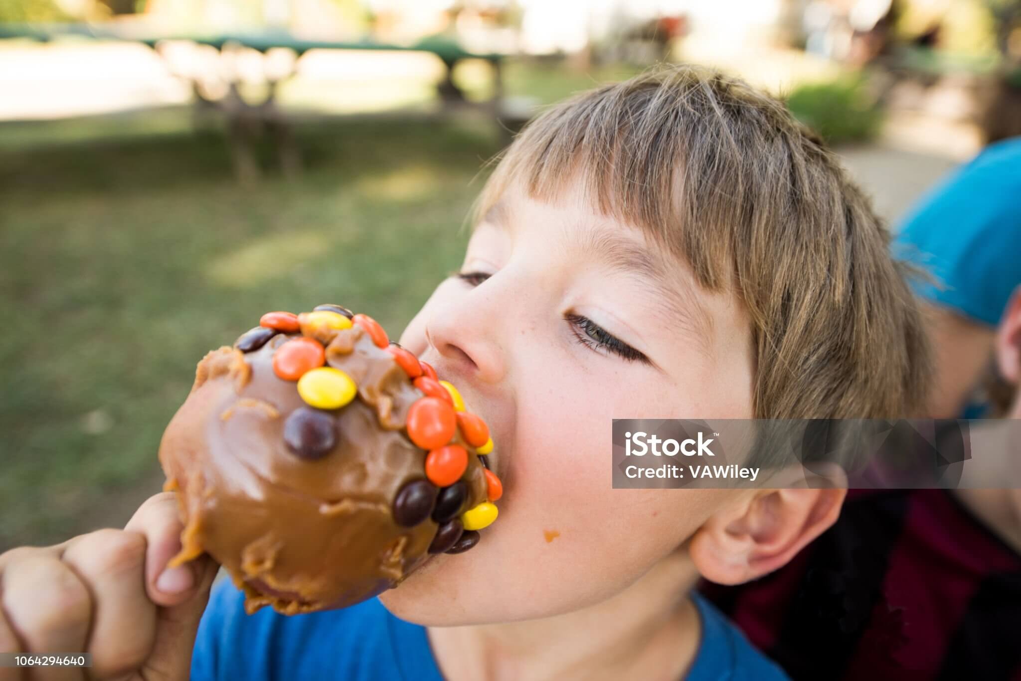 A boy eating a chocolate covered apple with orange, yellow and brown covered smarties